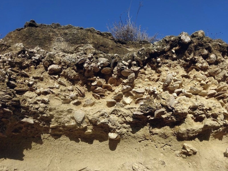 
Ущелье Каккаристра и его палеонтологические находки

