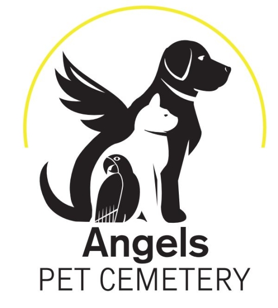 
Открылось кладбище для домашних животных
