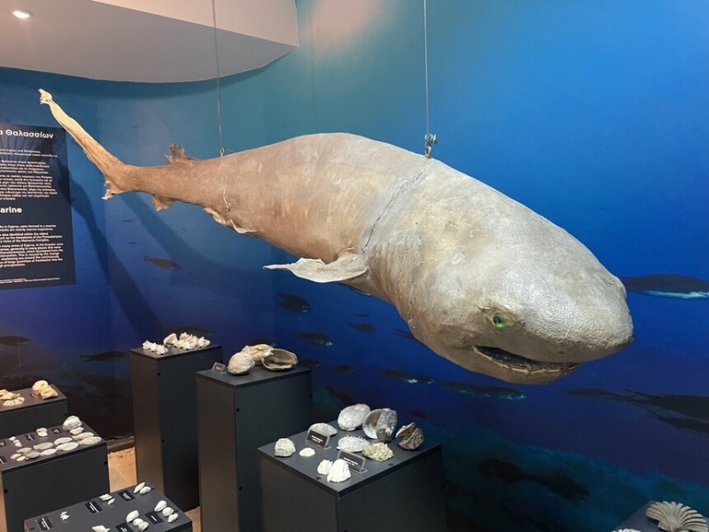 Музей естественной истории в Никосии