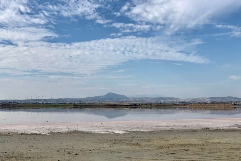Соленое озеро Ларнаки притягивает не только розовых фламинго