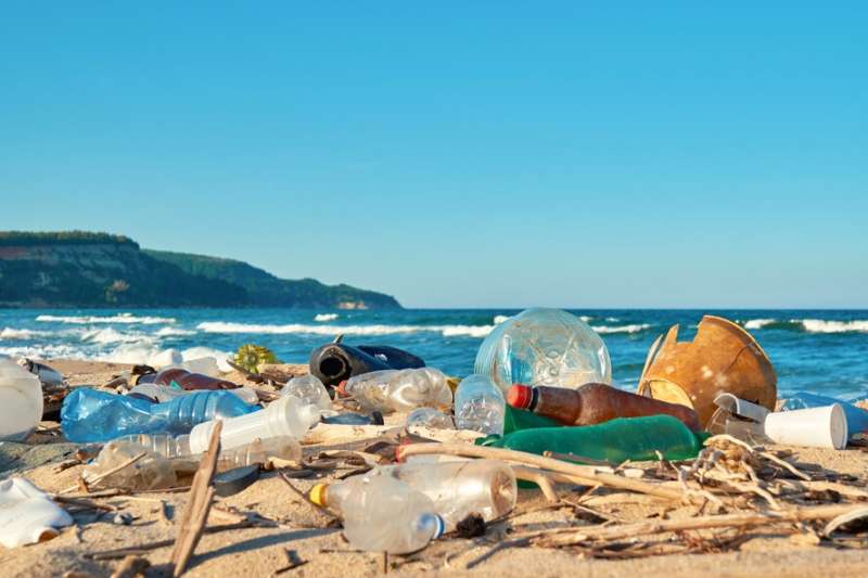 Кипрские активисты собрали на местных пляжах 150 килограммов мусора