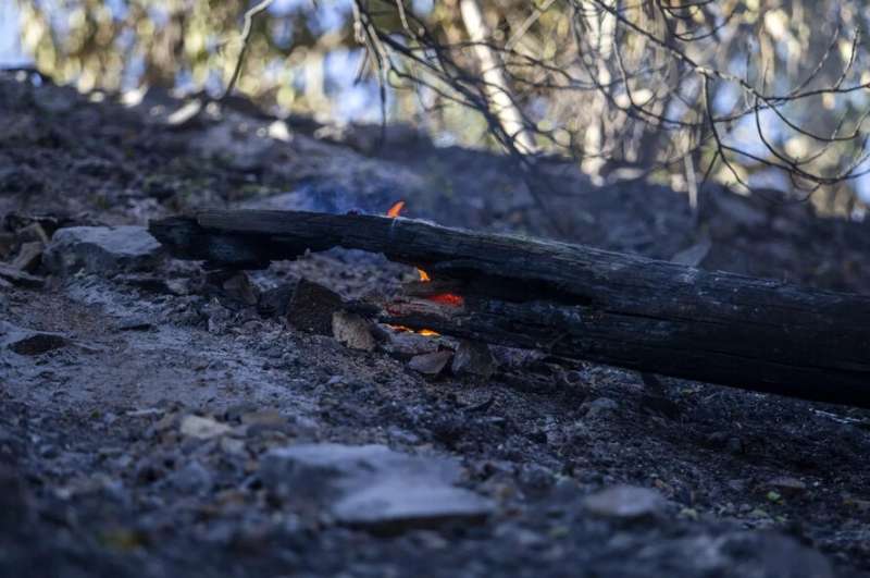 Участившиеся лесные пожары на Кипре вызывают сильную тревогу