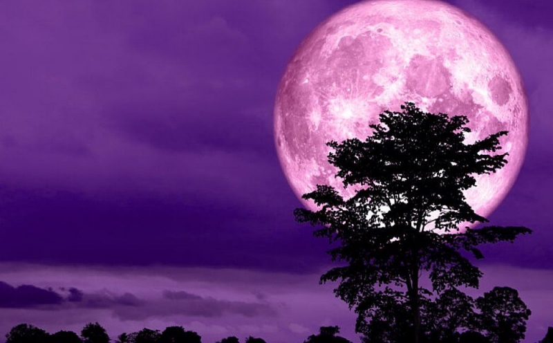 
Не пропустите «розовую луну»
