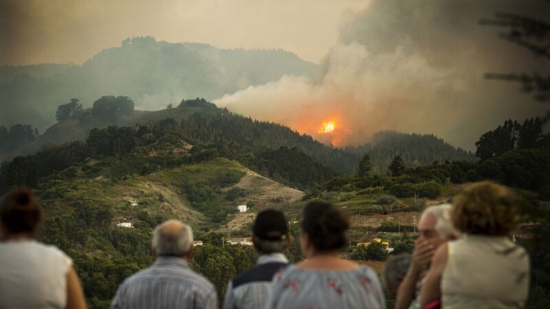 Власти Кипра ожидают сложный пожарный сезон